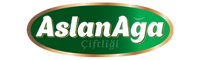 ARSLANAGA